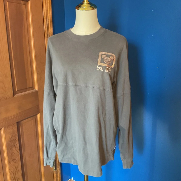 Walt Disney World Briar Rose Gray and Rose Gold Spirit Jersey. Size Medium - Picture 1 of 8